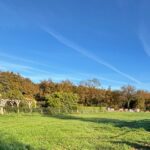 Maison à construire à Saujon (17600)