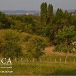 Terrain à bâtir à Bon-Encontre (47240)