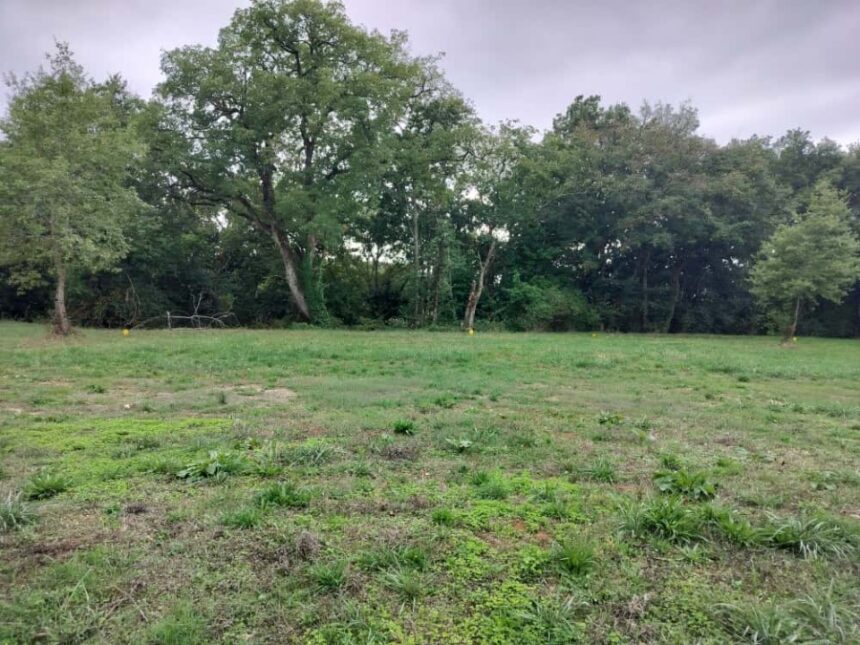 Maison neuve à Prayssas (47360)