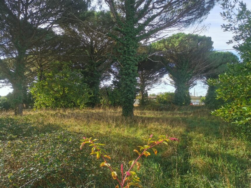 Maison à construire à Saint-Maixant (33490)