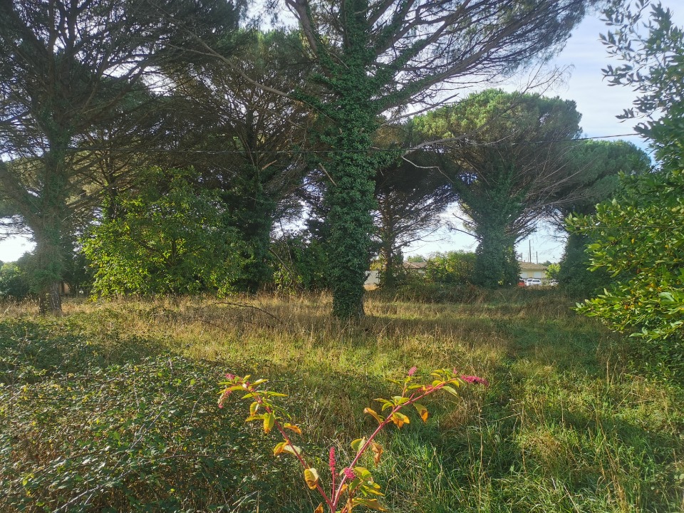 Terrain à bâtir à Saint-Maixant (33490)