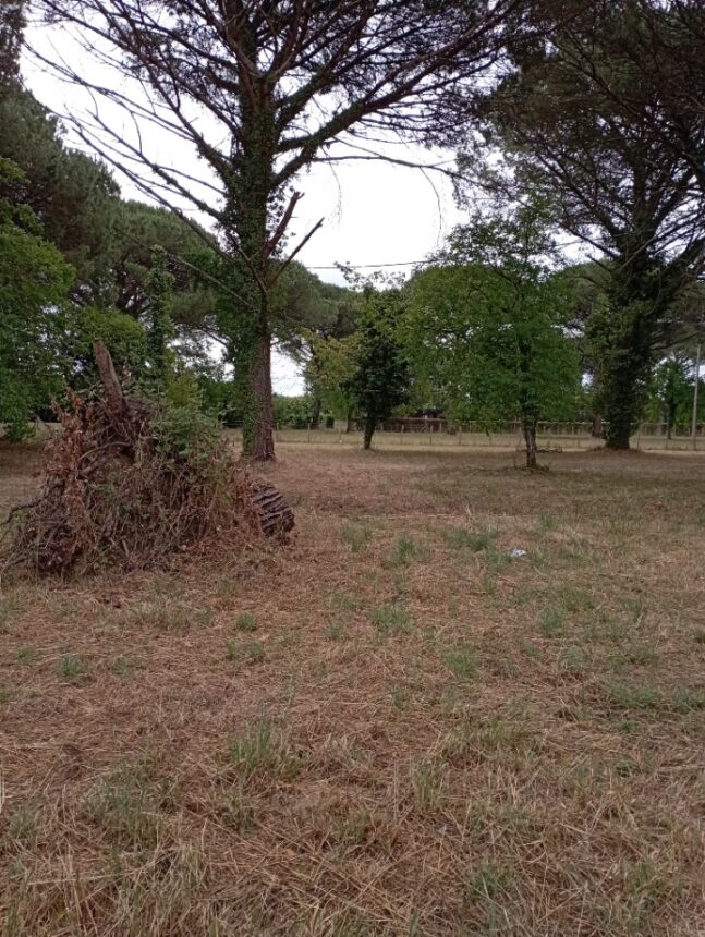 Maison à construire à Langon (33210)