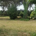 Maison à construire à Saint-Maixant (33490)