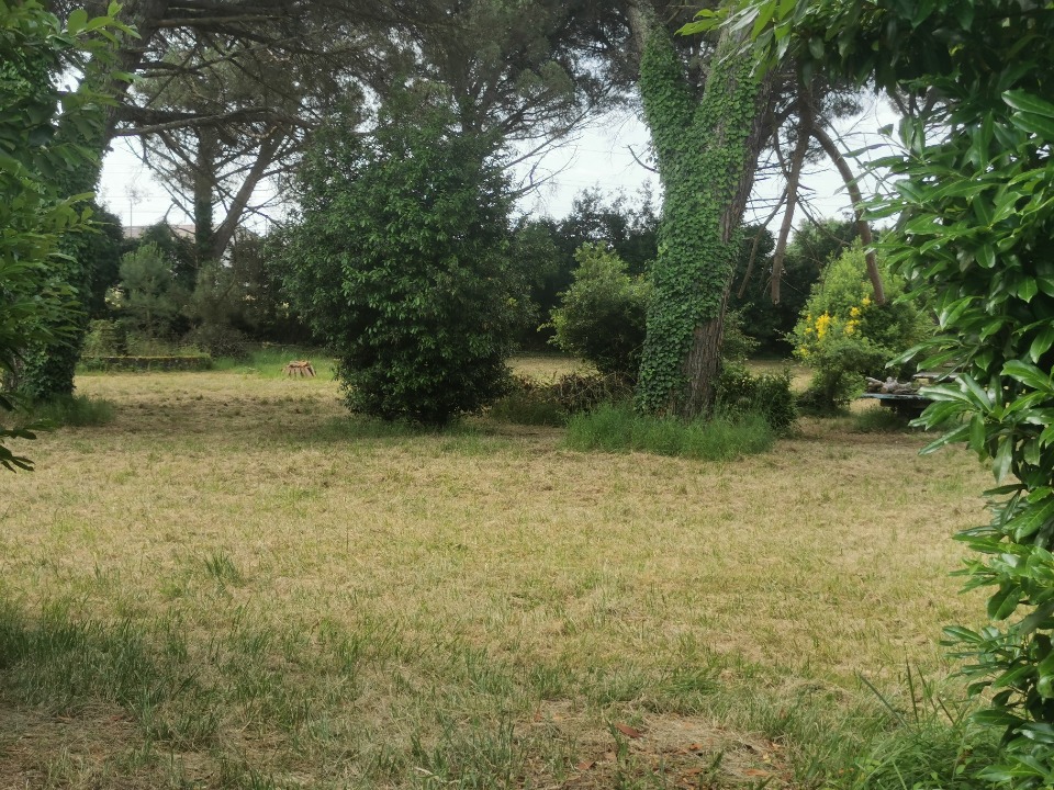 Terrain à bâtir à Saint-Maixant (33490)