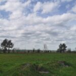 Maison à construire à Grignols (33690)