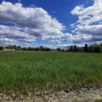 Maison à construire à Grignols (33690)