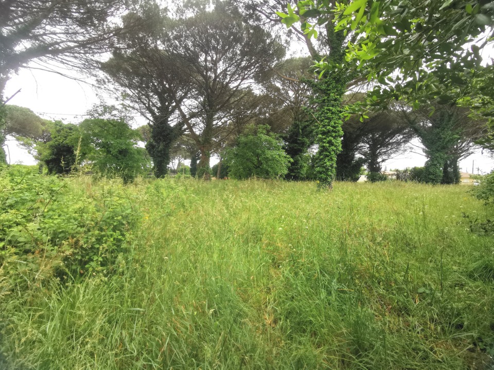 Terrain à bâtir à Saint-Maixant (33490)