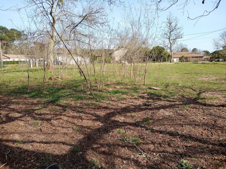 Terrain à bâtir à Pompéjac (33730)