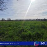 Maison à construire à Verdelais (33490)