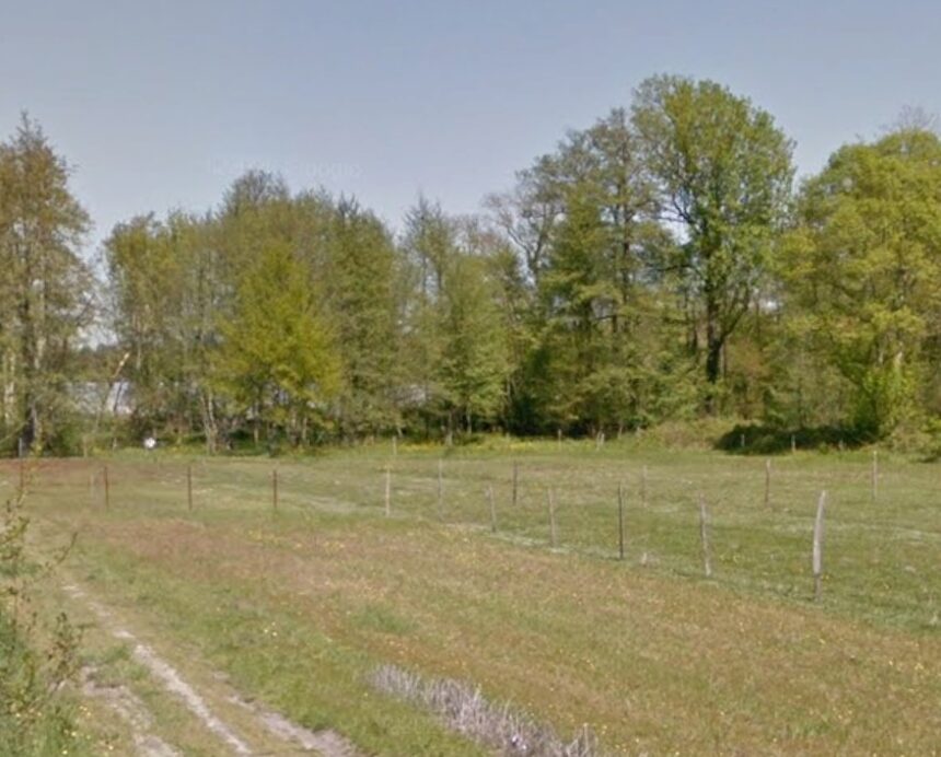 Maison à construire à Eyrans (33390)