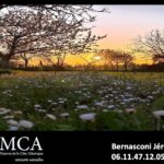 Terrain à bâtir à Saint-Genès-de-Fronsac (33240)