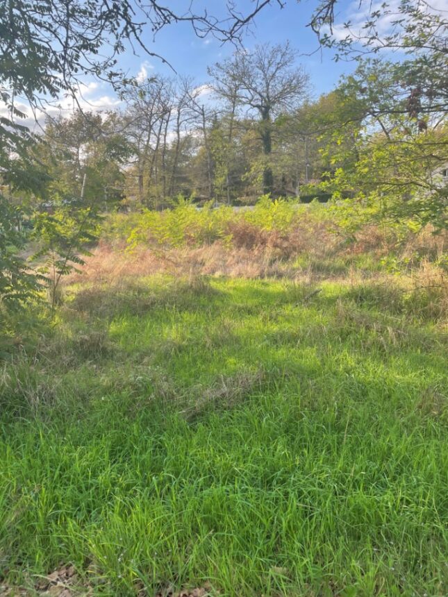 Maison à construire à Saint-Aubin-de-Médoc (33160)