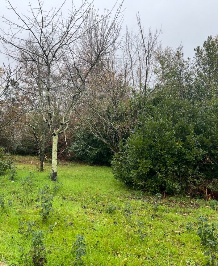 Terrain à bâtir à Arsac (33460)