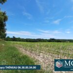 Maison à construire à Mugron (40250)