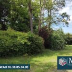 Maison à construire à Tercis-les-Bains (40180)