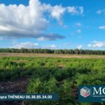 Maison à construire à Laluque (40465)