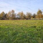 Terrain à bâtir à La Force (24130)