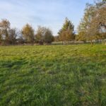 Terrain à bâtir à La Force (24130)