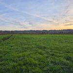 Terrain à bâtir à Saint-Laurent-des-Vignes (24100)