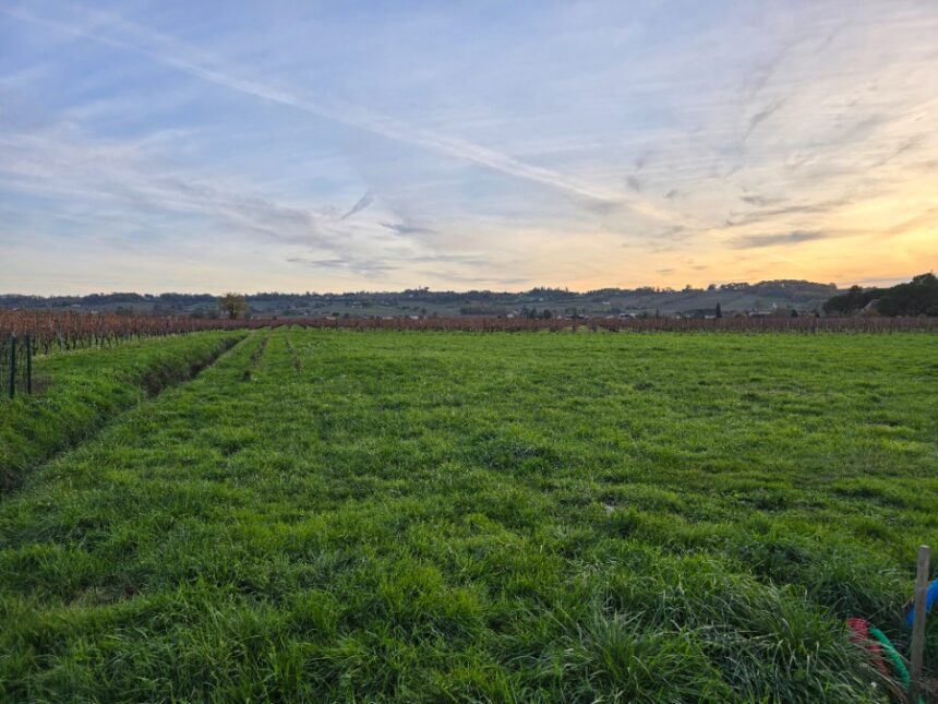 Terrain à bâtir à Saint-Laurent-des-Vignes (24100)
