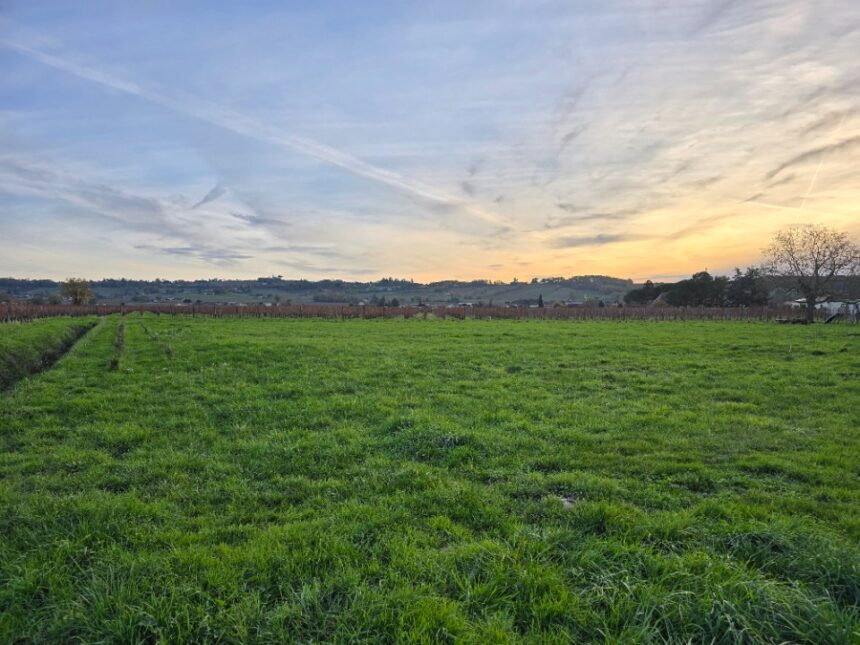 Maison à construire à Saint-Laurent-des-Vignes (24100)