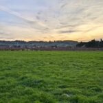 Terrain à bâtir à Saint-Laurent-des-Vignes (24100)
