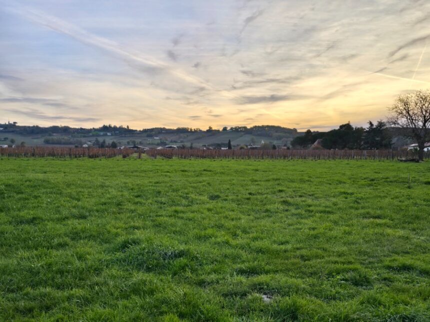 Terrain à bâtir à Saint-Laurent-des-Vignes (24100)