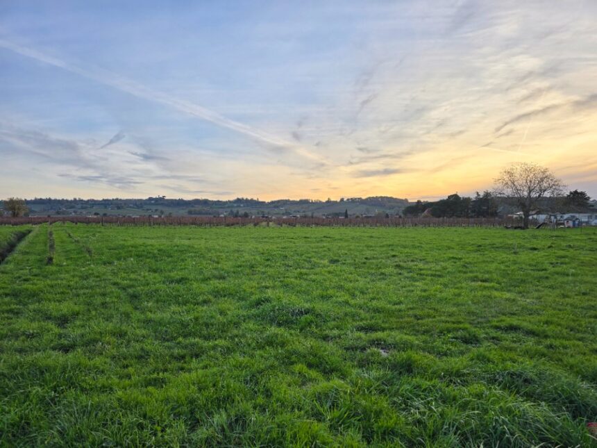 Maison à construire à Saint-Laurent-des-Vignes (24100)
