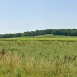 Terrain à bâtir à Sigoulès-et-Flaugeac (24240)