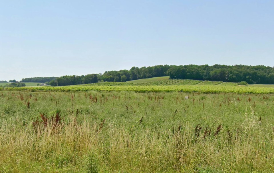Terrain à bâtir à Sigoulès-et-Flaugeac (24240)