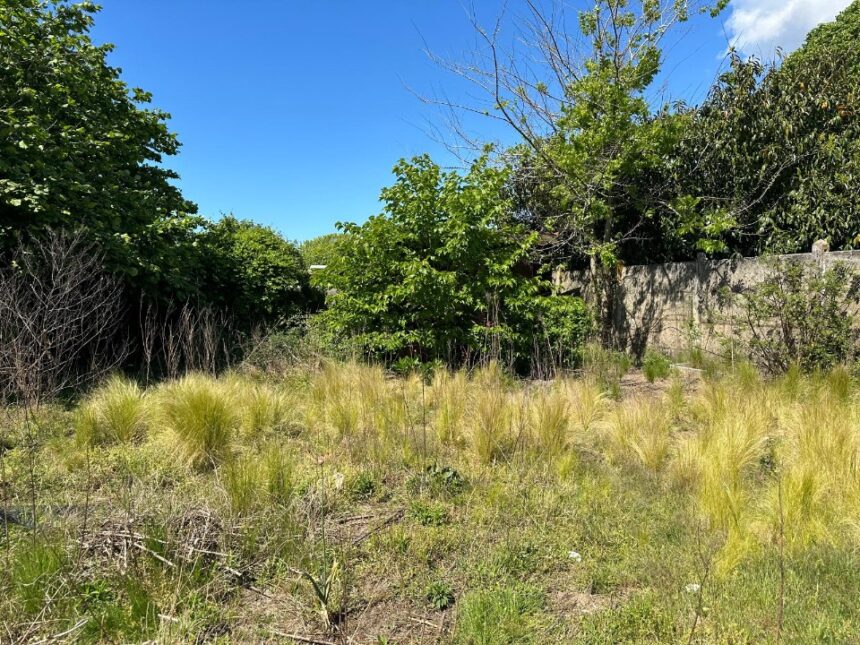 Maison à construire à Lugos (33830)