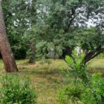 Maison à construire à Audenge (33980)