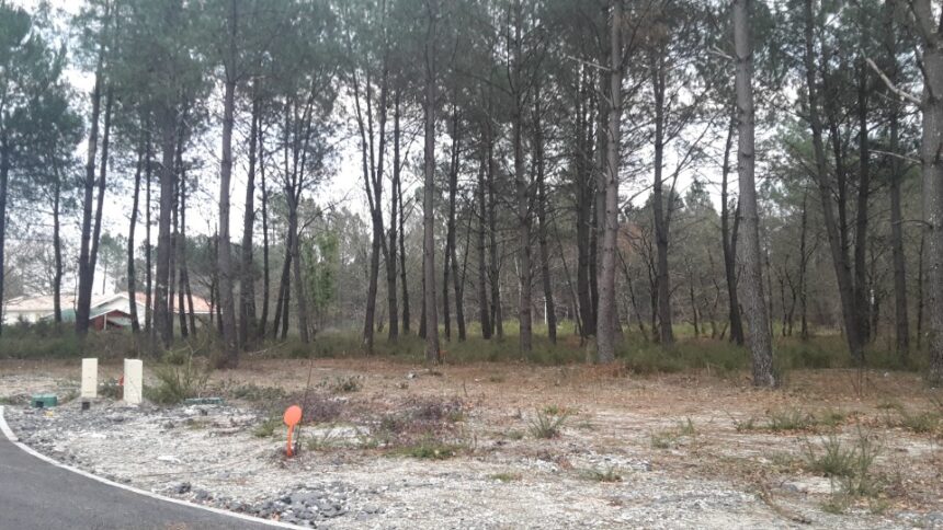 Terrain à bâtir à Cestas (33610)