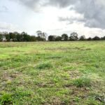 Terrain à bâtir à Saint-Georges-du-Bois (17700)