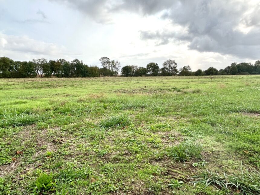 Terrain à bâtir à Saint-Georges-du-Bois (17700)