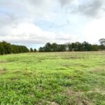 Terrain à bâtir à Saint-Georges-du-Bois (17700)