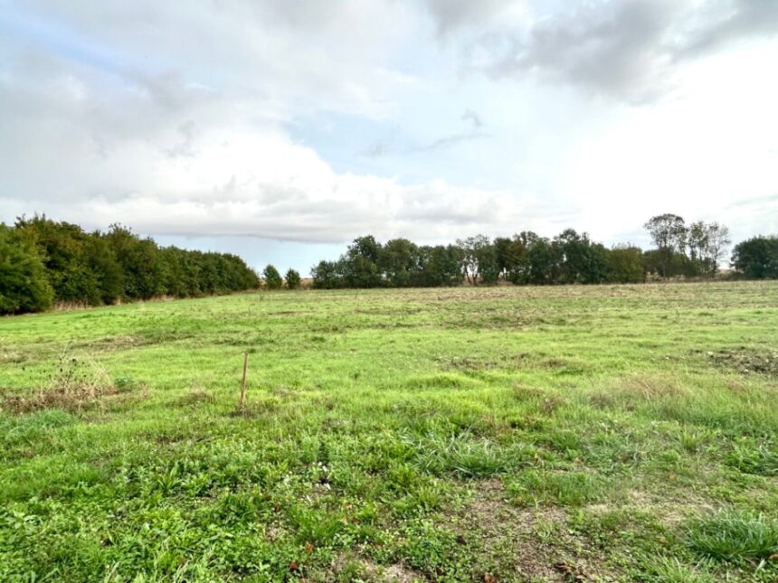 Terrain à bâtir à Saint-Georges-du-Bois (17700)