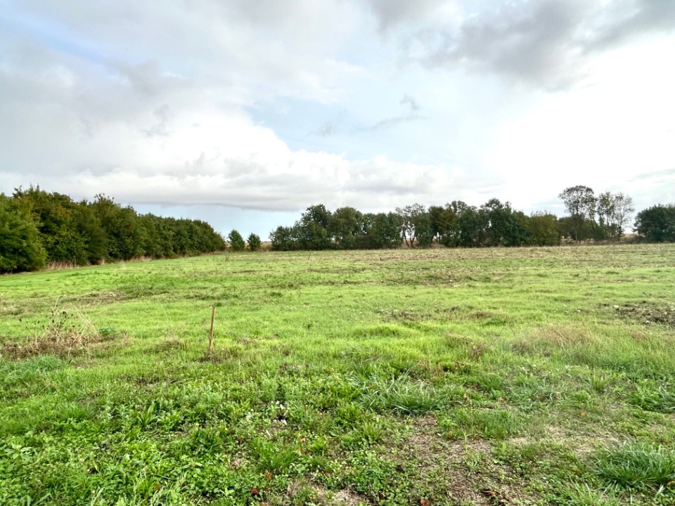Terrain à bâtir à Saint-Georges-du-Bois (17700)