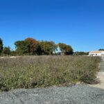 Terrain à bâtir à Ardillières (17290)