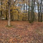 Maison à construire à Camarsac (33750)