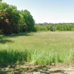 Maison à construire à Sainte-Florence (33350)