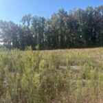 Maison à construire à Galgon (33133)