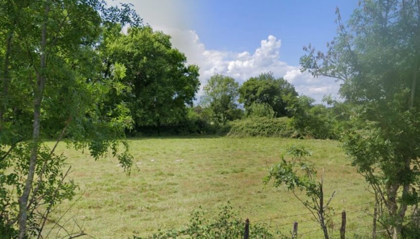 Maison à construire à Moulon (33420)