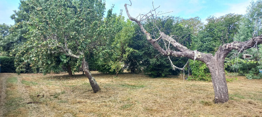 Terrain à bâtir à Montpon-Ménestérol (24700)