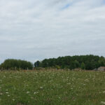 Maison à construire à Montpon-Ménestérol (24700)