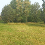 Maison à construire à Ménesplet (24700)