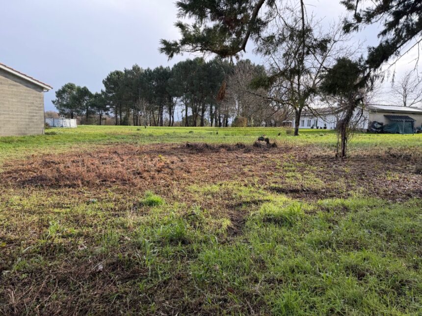 Terrain à bâtir à Bassanne (33190)