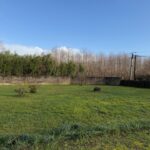 Maison à construire à Landiras (33720)