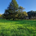 Maison à construire à Uzeste (33730)