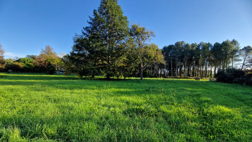 Terrain à bâtir à Uzeste (33730)